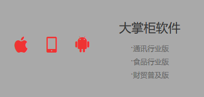 大掌柜软件